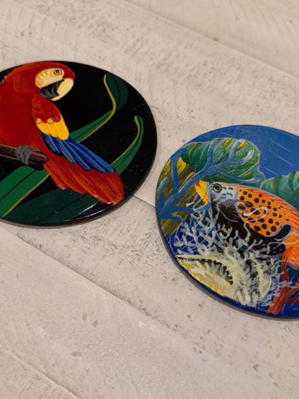 Pair of Colorful Hand Painted 5” Parrot and Fish Animal Coasters